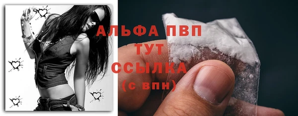 ECSTASY Костерёво