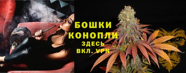 ECSTASY Костерёво