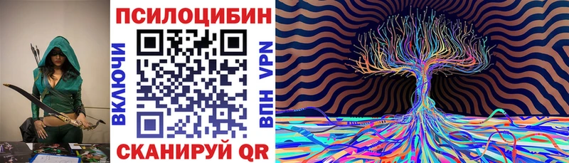 блэк спрут зеркало  Тара  Псилоцибиновые грибы прущие грибы  цены наркотик 