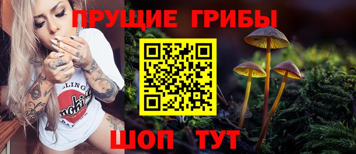 Галлюциногенные грибы Psilocybine cubensis  Галлюциногенные грибы GOLDEN TEACHER  Вход с VPN  Тара 
