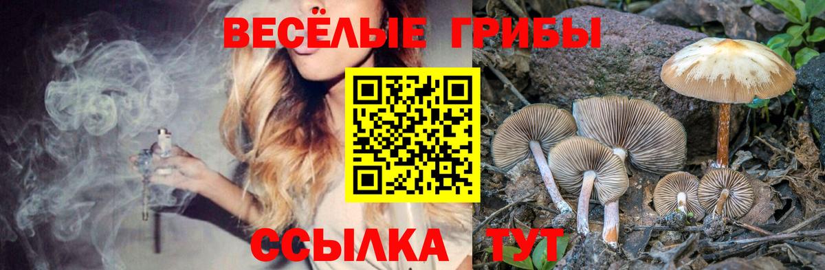 Галлюциногенные грибы Magic Shrooms Тара
