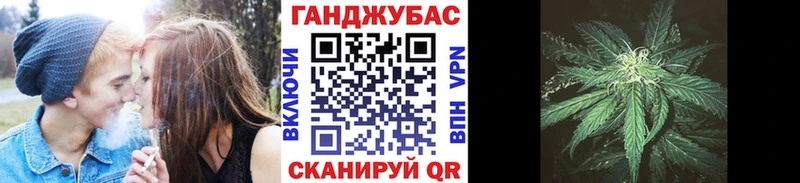 закладка  Тара  Бошки Шишки VHQ 